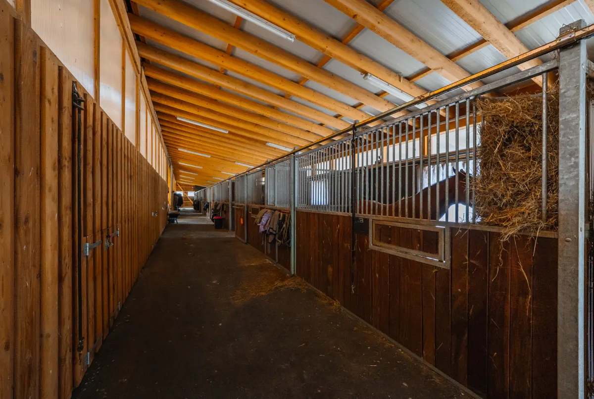 THE RANCH - Ein Reiterhof der Extraklasse
