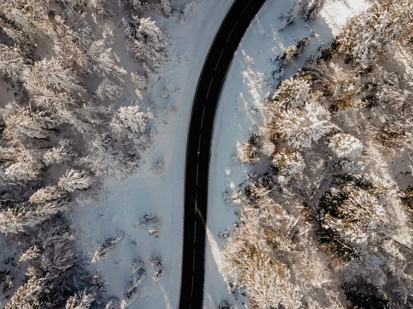 Verschneite Serpentinenstraße durch den Winterwald – Zufahrt zum Birgkar Mountain Hideaway am Hochkönig