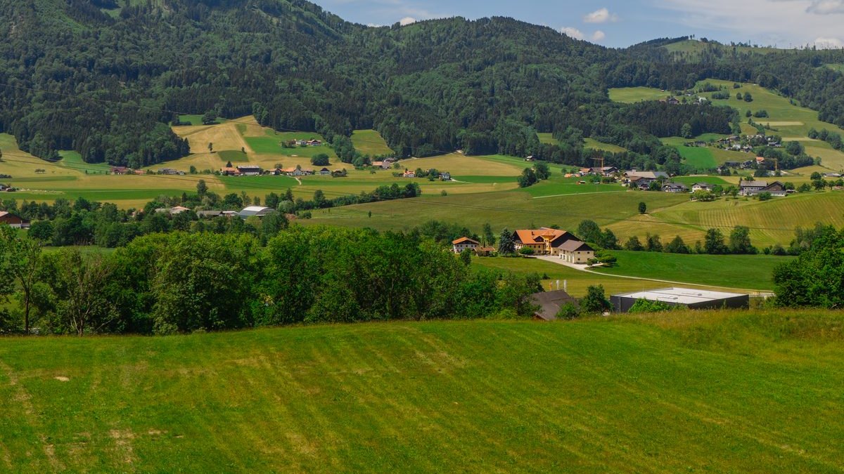 Grüne Hügellandschaft mit Tal rund um Exlberg 9 in Tiefgraben am Mondseeberg